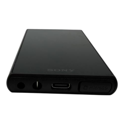 SONY (ソニー) WALKMAN NW-A105