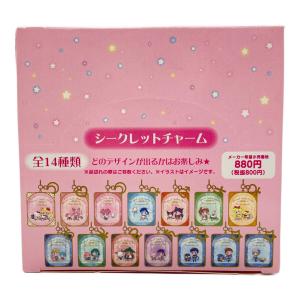 Sanrio (サンリオ) シークレットチャームボックス　セーラームーン キャラクターグッズ