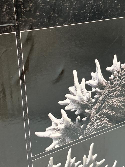 SOFVICS GODZILLA ゴジラ