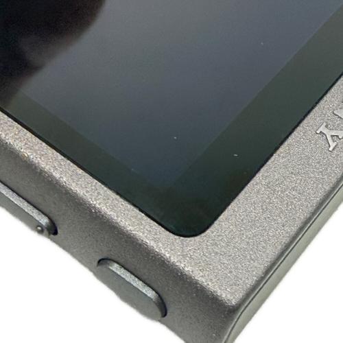 SONY (ソニー) WALKMAN NW-A45　MOMOIRO CLOVER Z 10th ANNIVERSARY MODEL -Hi-Res Special Edition-