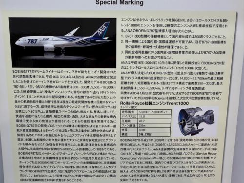 ANA (アナ) ボーイング787-8 飛行機 NH20041｜トレファクONLINE