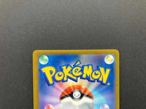 ガラルの仲間たち 258/184 SR ポケモンカード