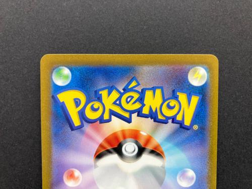 エリカの招待 196/165 SR ポケモンカード