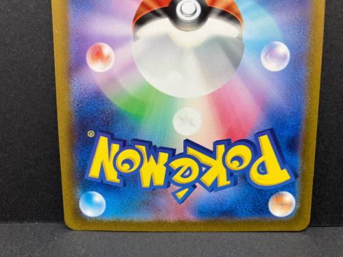 エリカの招待 196/165 SR ポケモンカード