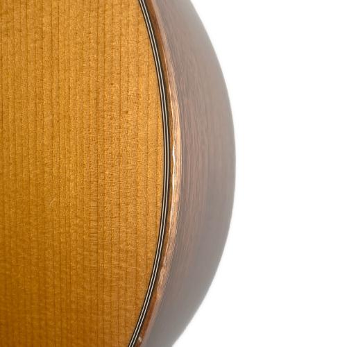 MORRIS (モーリス) アコースティックギター  S-100Y