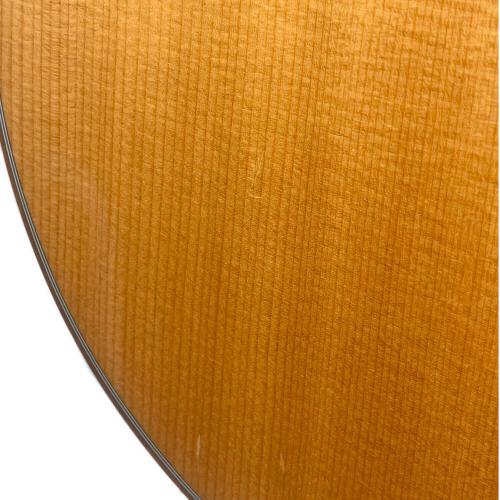 MORRIS (モーリス) アコースティックギター  S-100Y