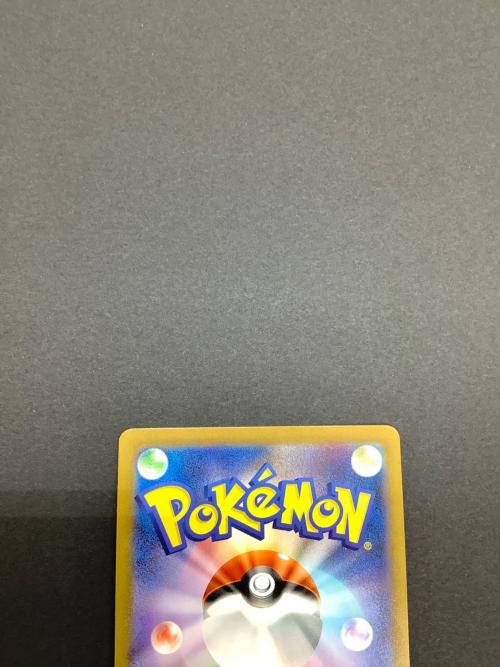 エリカの招待 196/165 SR ポケモンカード