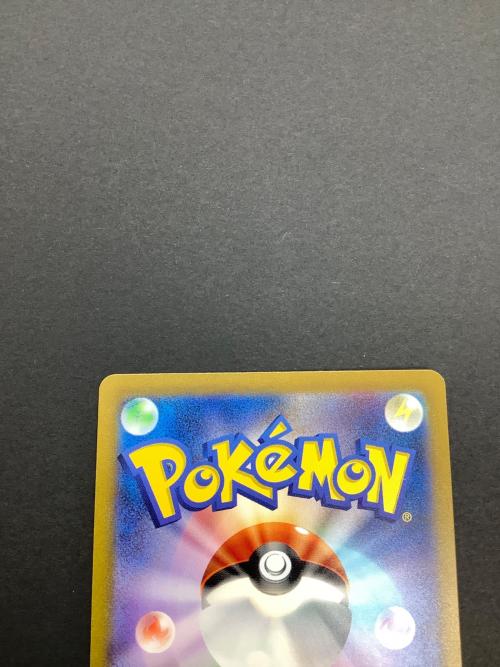 エリカの招待 206/165 SAR ポケモンカード