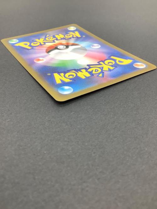 エリカの招待 206/165 SAR ポケモンカード