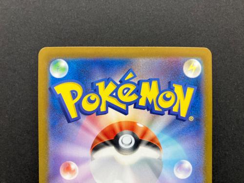 シロナのガブリアスex 087/063 SAR ポケモンカード