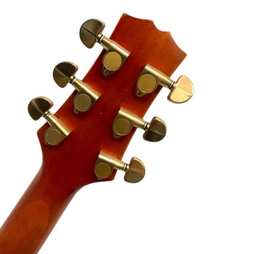 Cort (コルト) フルアコースティックギター @ 順反り有 ガリ有 動作確認済み