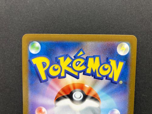 ナンジャモのハラバリーex 125/100 SAR ポケモンカード