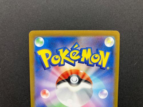 シロナのガブリアスex 087/063 SAR ポケモンカード