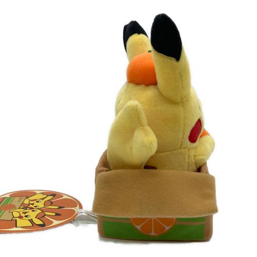 Pokemon Center (ポケモンセンター) ヌイグルミ タグ有 ペアピカチュウとえひめみかん