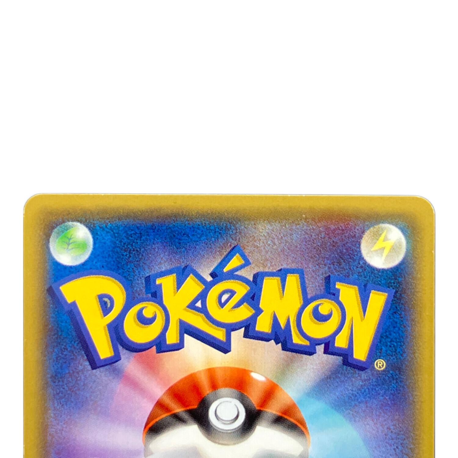 あったかピカチュウ 未開封 あったかピカチュウ(未開封)【P】{-}