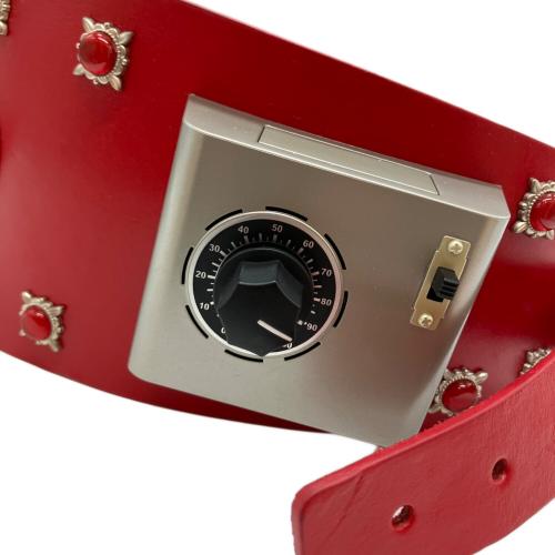 BANDAI (バンダイ)コンプリートセレクション仮面ライダー新1号変身ベルト 動作確認済み