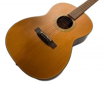 Takamine (タカミネ) エレアコギター NPT05N 2001年製 保証無し