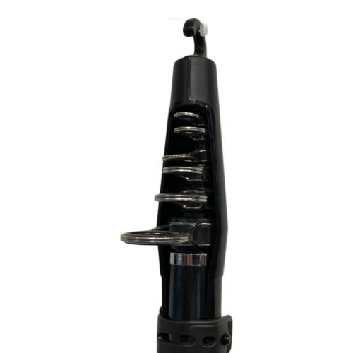 DAIWA (ダイワ) ロッド(釣竿)