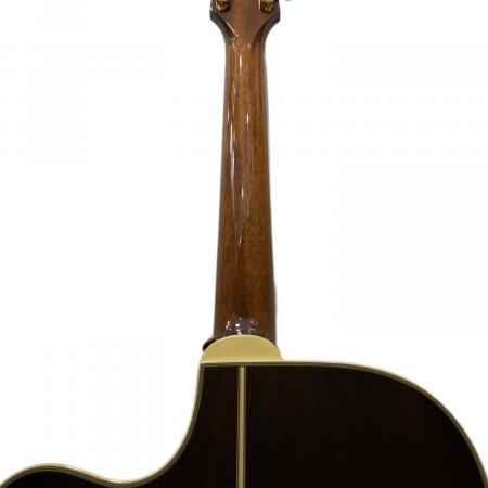 Takamine (タカミネ) 50周年記念モデル エレアコギター DMP700CAD-DC