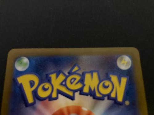 カメックスex ポケモンカード 202/165 SAR