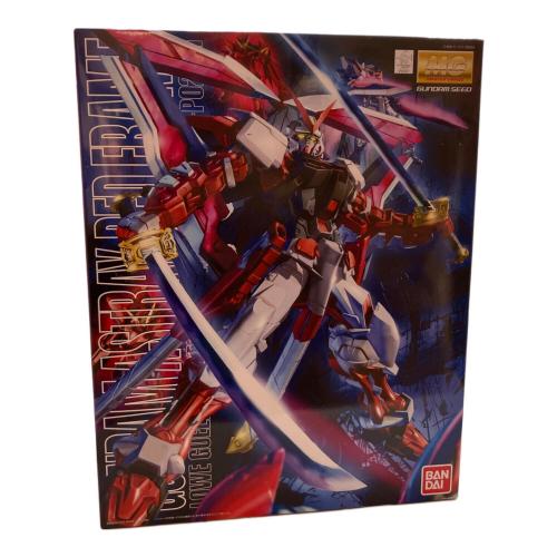 機動戦士ガンダムSEED VS ASTRAY (キドウセンシガンダムシード ヴァーサス アストレイ) MG ガンダムアストレイレッドフレーム改 ガンプラ MBF-P02KAI