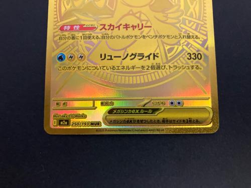 メガカイリューex ポケモンカード 250/193 MUR