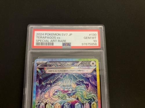 テラパゴスex ポケモンカード 130/102 SAR PSA10｜トレファクONLINE