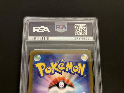 テラパゴスex ポケモンカード 130/102 SAR PSA10