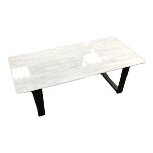 ISSEIKI (イッセイキ) ローテーブル グレー SHANON-2 CENTER TABLE 110