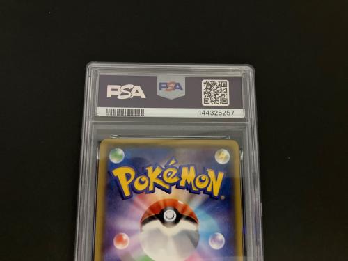 フウロ PSA10 ポケモンカード 164/XY-P @