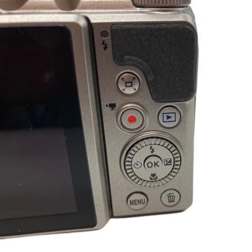 Nikon (ニコン) コンパクトデジタルカメラ COOLPIX A900