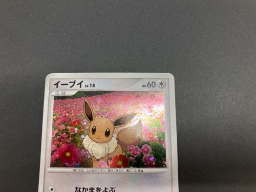 イーブイ ポケモンカード 063/DP-P プロモ