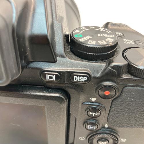 Nikon (ニコン) デジタル一眼レフカメラ COOLPIX P900 動作確認済