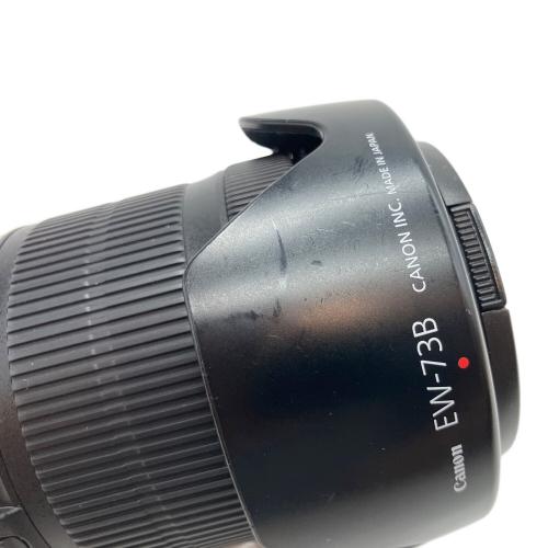 CANON (キヤノン) ズームレンズ EF-S