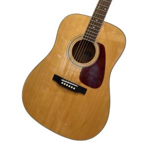MORRIS (モーリス) アコースティックギター MD-251N