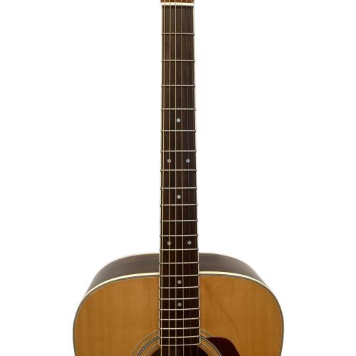 MORRIS (モーリス) アコースティックギター MD-251N