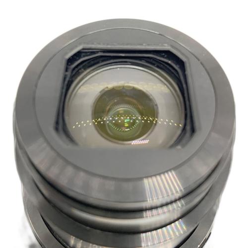 Nikon (ニコン) コンパクトデジタルカメラ COOL PIX A900