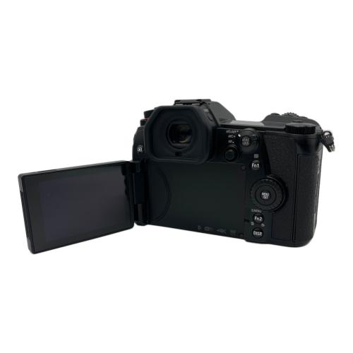 Panasonic (パナソニック) デジタル一眼レフカメラ LUMIX 標準ズームライカDGレンズキット DC-G9L