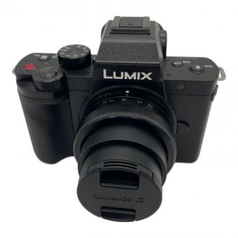 Panasonic ミラーレス一眼カメラ LUMIX DC-G100V レンズ:12-32mm トライポッドグリップ付
