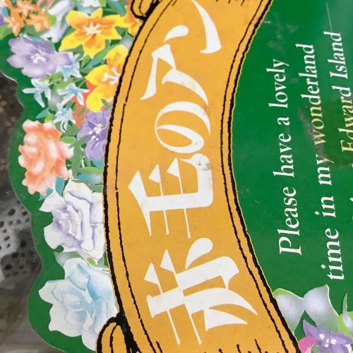 TAKARA (タカラ) 赤毛のアン Anne Of Forest's Fairy 1993年　ドール