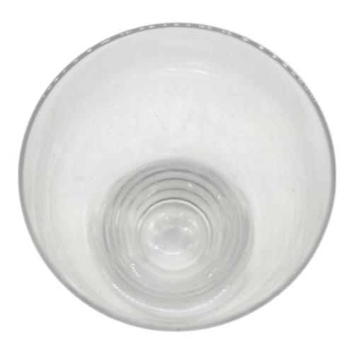 Baccarat (バカラ) オノロジービアタンブラー 1P