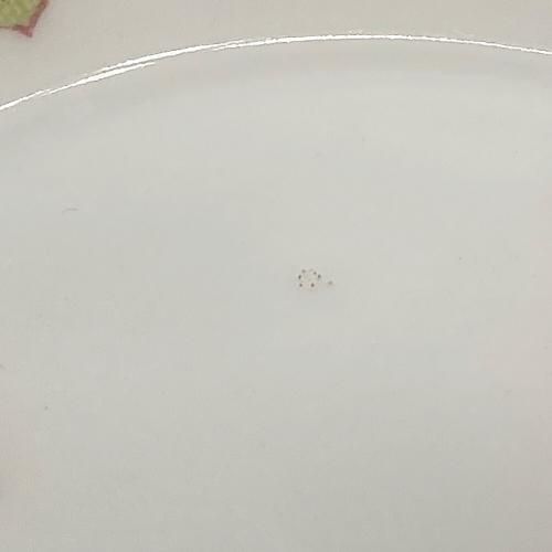 ROYAL CROWN DERBY (ロイヤルクラウンダービー) カップ&ソーサー ロイヤルアントワネット 1P