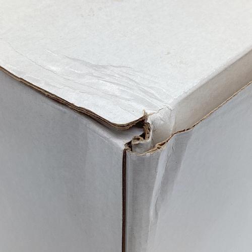 ディズニーグッズ ディズニーストア10th チップとデール 200/133