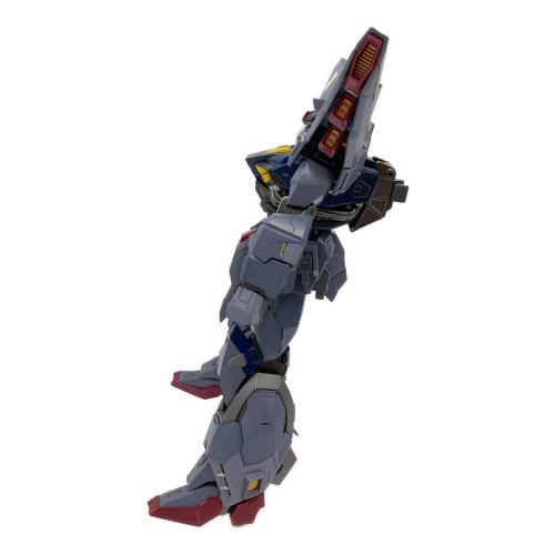 BANDAI (バンダイ) 機動戦士ガンダム メタルビルド 機動戦士ガンダムSEED プロヴィデンスガンダム プレミアムバンダイ