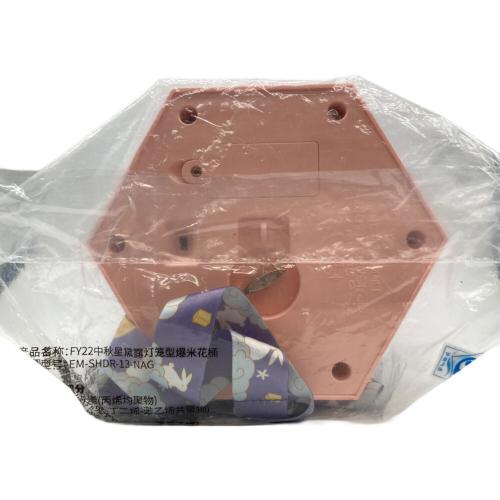 ディズニーグッズ 上海ディズニー ステラルー ポップコーンバゲット