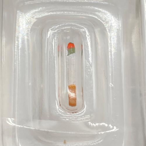 organic (オーガニック) フィギュア CROWS×WORST BLACK LIST OF THE NEXT 坊屋春道 Ver.S.W.R. 完成品フィギュア