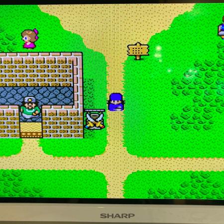 スーパーファミコン用ソフト ドラゴンクエストV 天空の花嫁