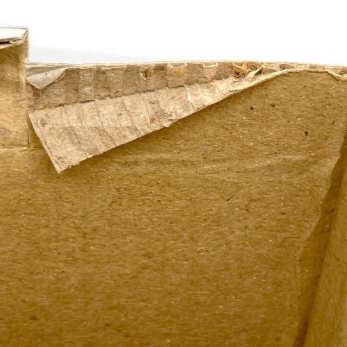 NECA (ネカ) フィギュア 1103/2500 HELLRAISER PINHEAD MINI-BUST