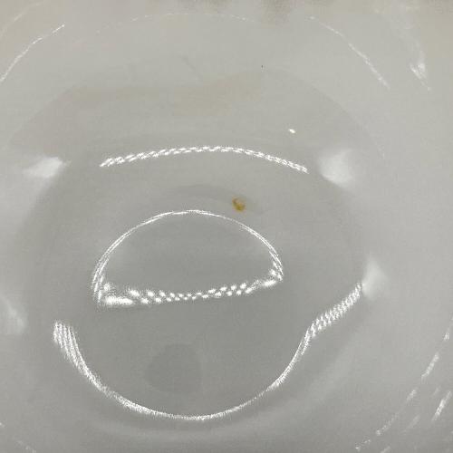 TWG (ティーダブリュージ) カップ&ソーサー