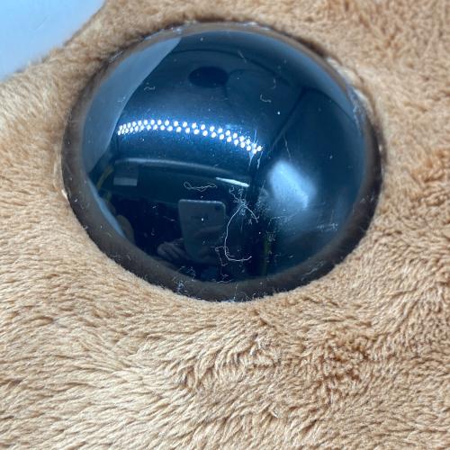 san-x (サンエックス) 特大チャイロコグマぬいぐるみ ヌイグルミ